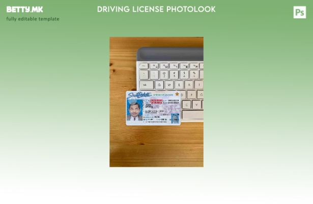 модерен стил USA Јужна Дакота DL photolook FRONT шаблон